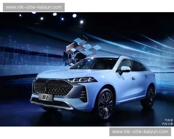 开云升级版:引领奢华潮流的新时代 开云升级版:引领奢华潮流的新时代